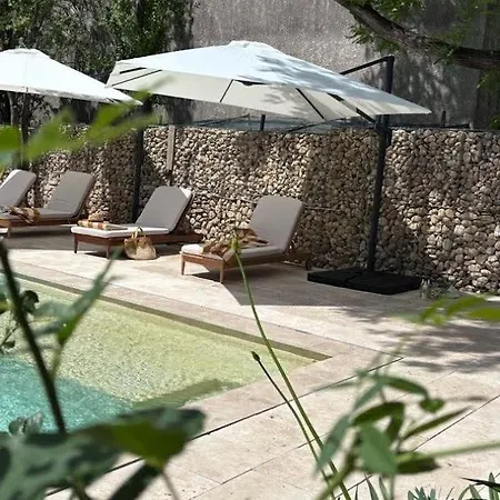 Maison Majorine - L Atelier - Charme Et Piscine Pres D'avignon * Domazan